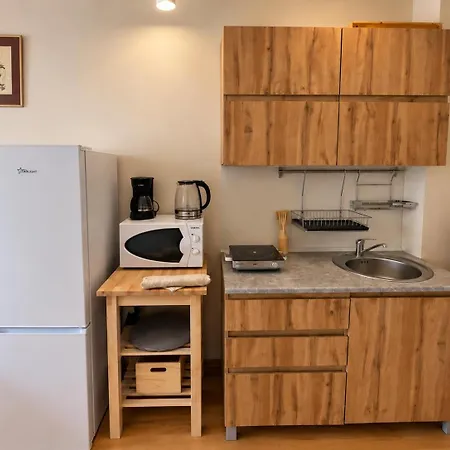 Royal Park Studio View & Free Ski Shuttle דירה